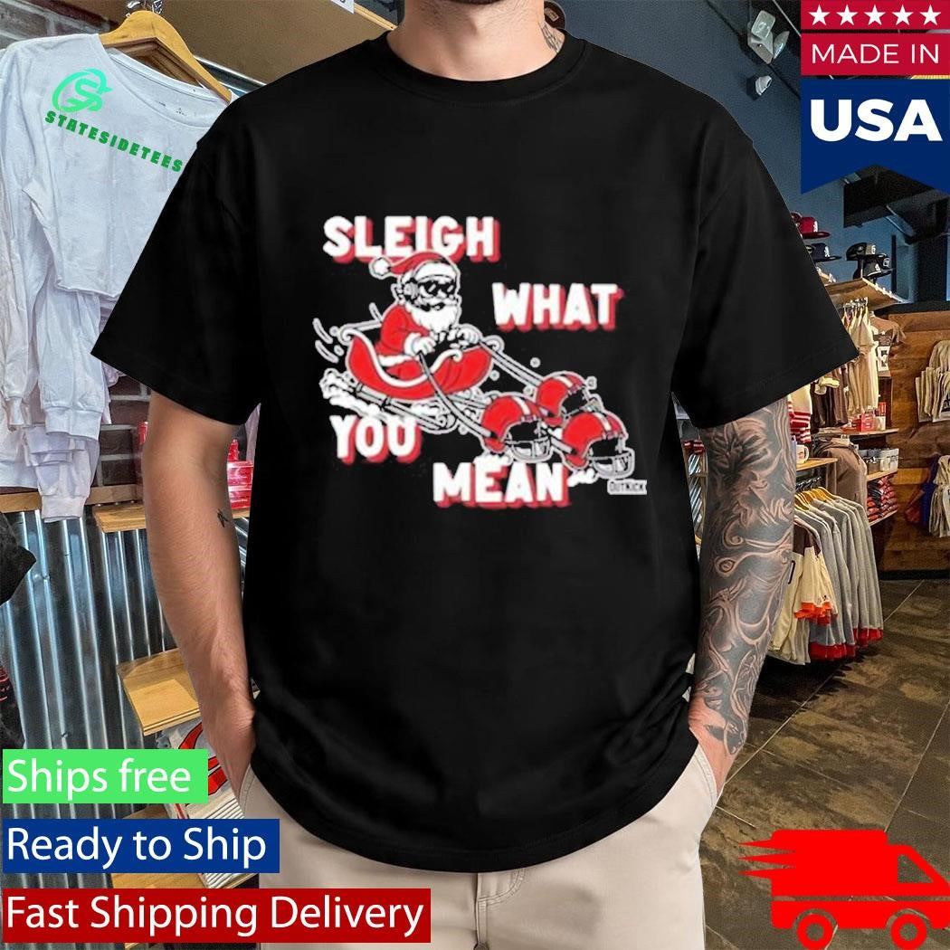 Sleigh What You Mean Shirt