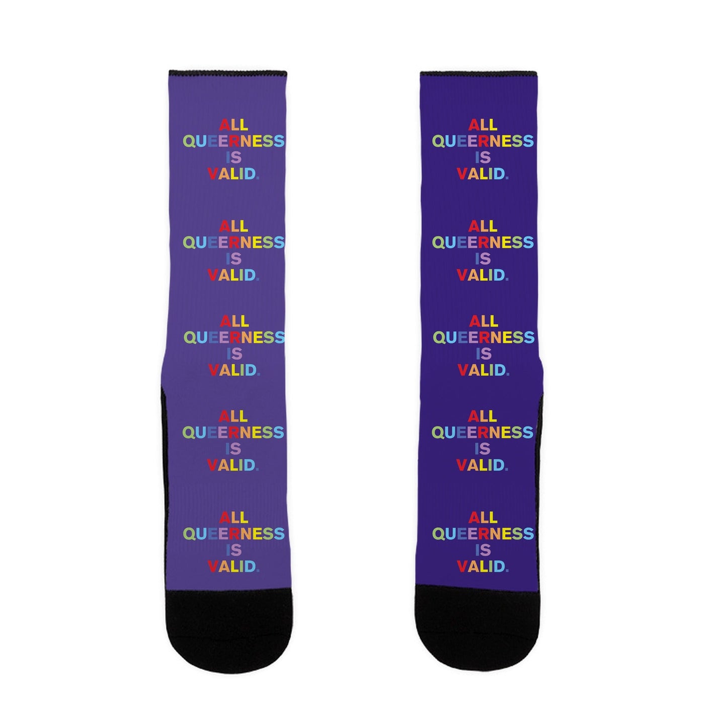 All Queerness is Valid Socks