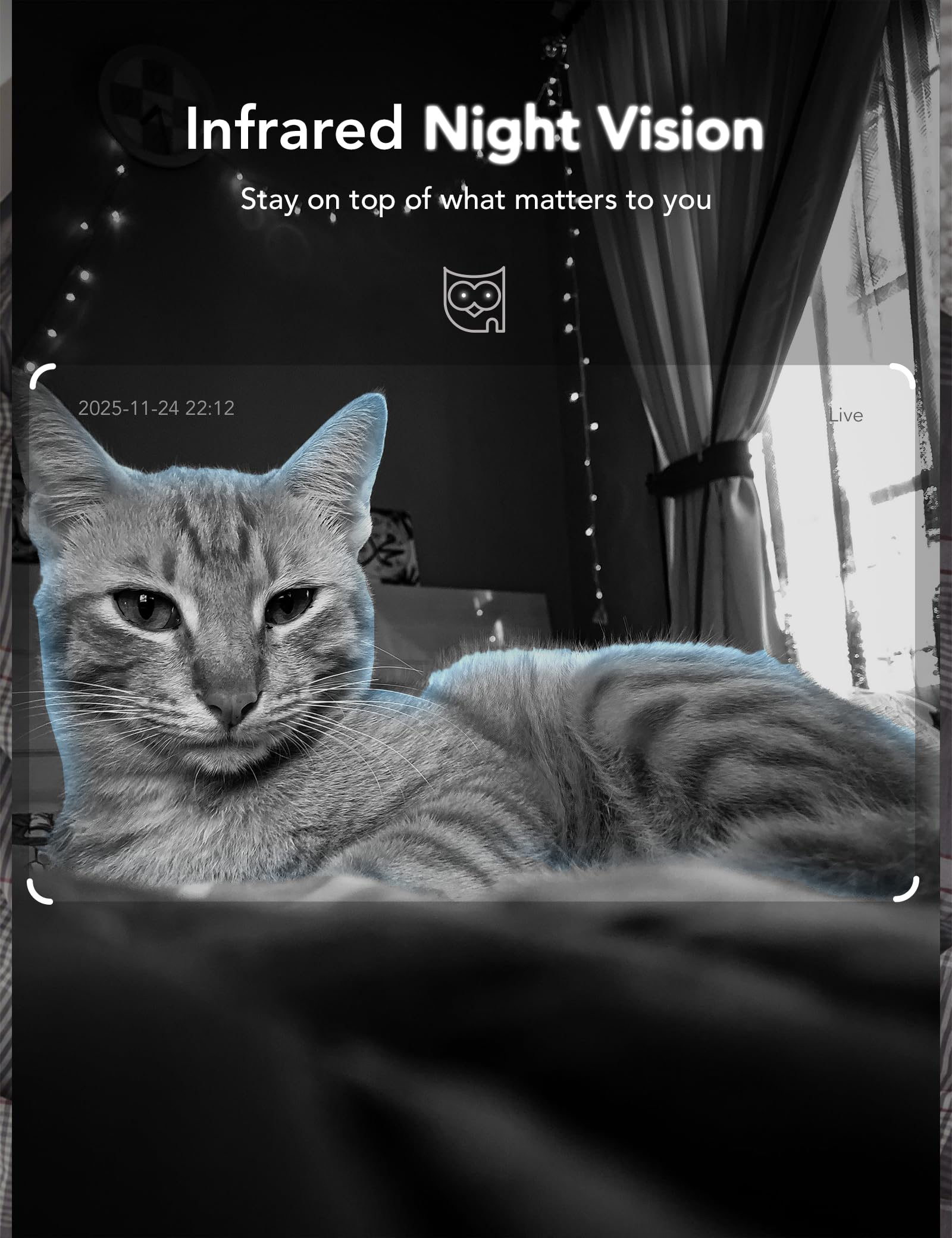 GNCC 2K Indoor Cameras for Home Security with Phone App, 2.4G/5G Mini Pet Cam w/Human/Motion/Sound Detection, Compatible with Alexa, Cloud Storage Optional, Fixed View, Plug-in, 2 Pack (Copy) (Copy) (Copy)