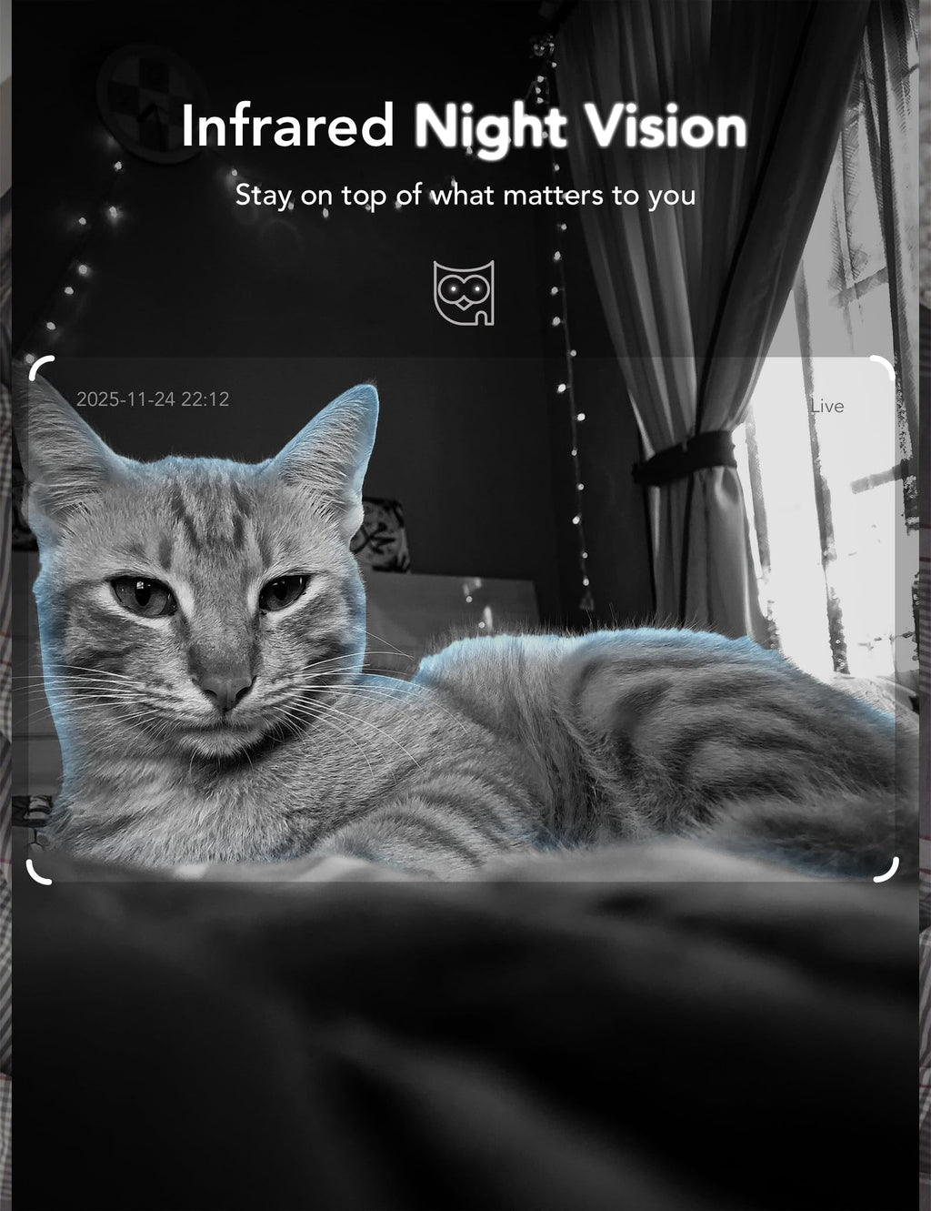 GNCC 2K Indoor Cameras for Home Security with Phone App, 2.4G/5G Mini Pet Cam w/Human/Motion/Sound Detection, Compatible with Alexa, Cloud Storage Optional, Fixed View, Plug-in, 2 Pack (Copy) (Copy) (Copy)