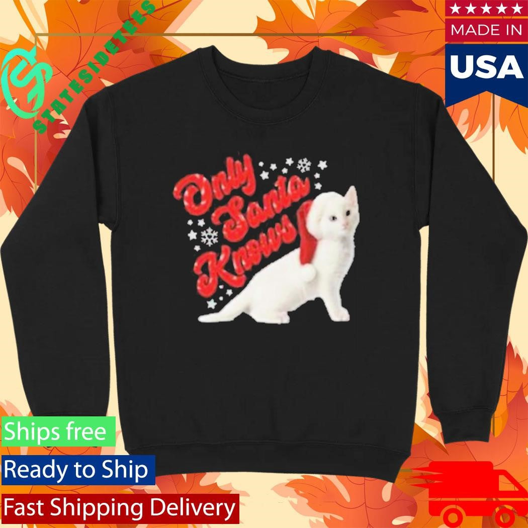 Only Santa Knows Beanie Delta Goodrem Shirt