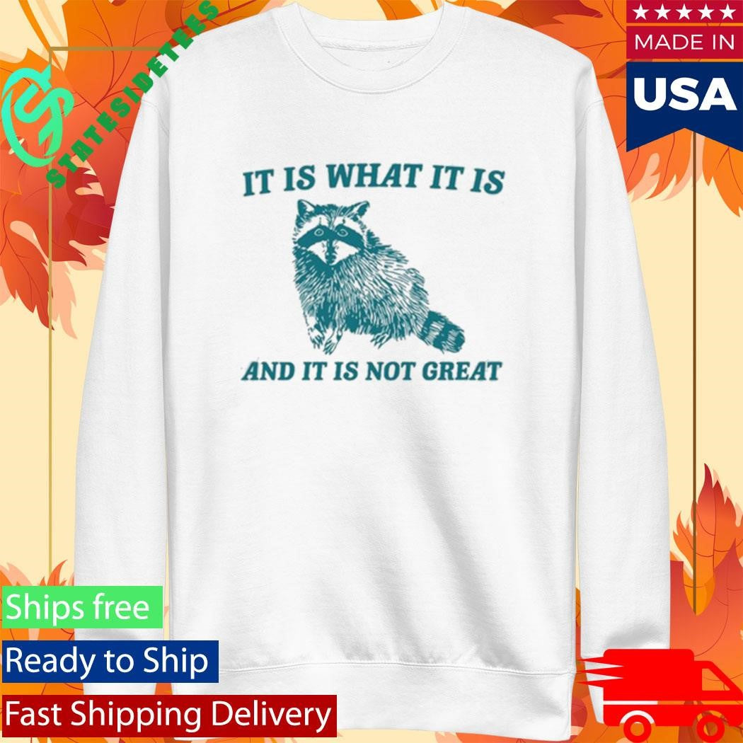Tracketpacer Racoon It Is What It Is And It Is Not Great Shirt