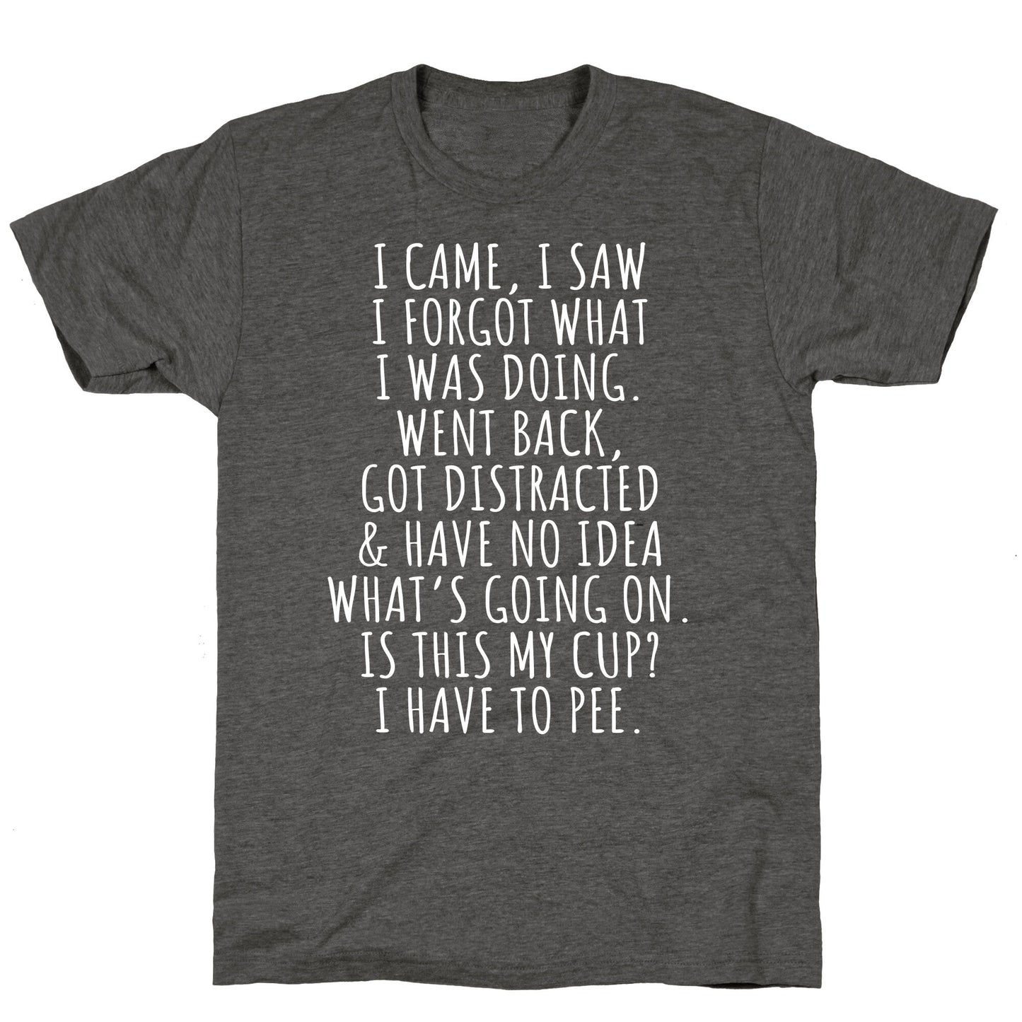 I Came I Saw I Forgot What I Was Doing Unisex Triblend Tee