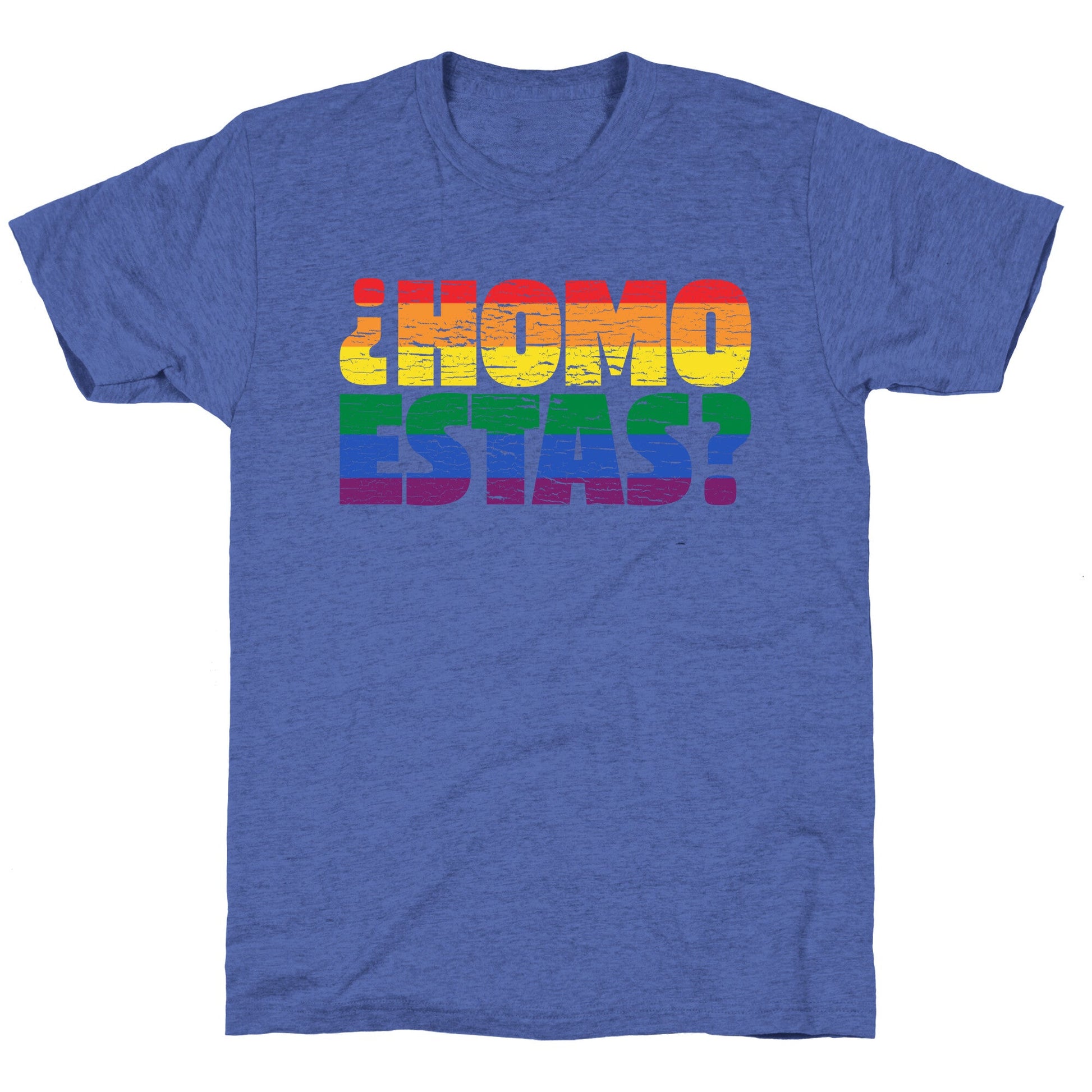 Homo Estas Unisex Triblend Tee