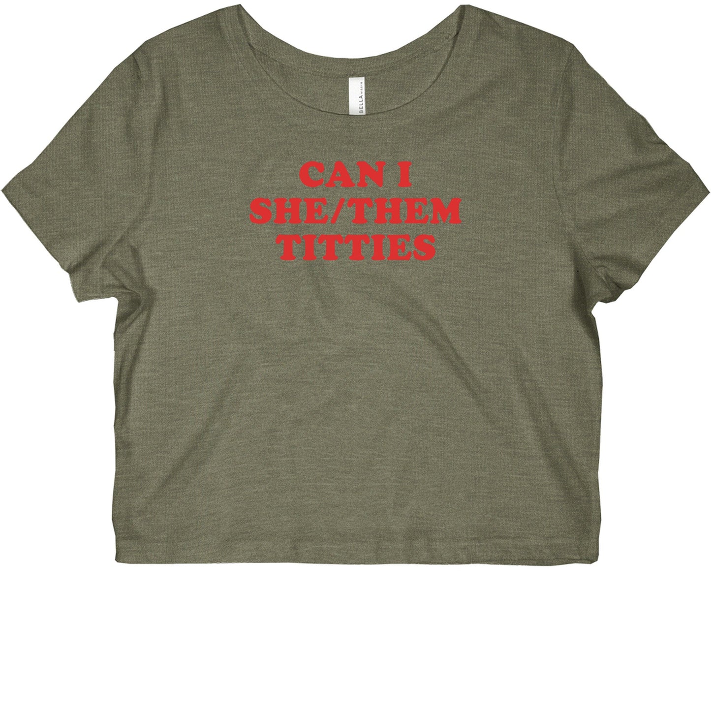 Can I She/Them Titties? Womens Slim Fit Crop Top Tee