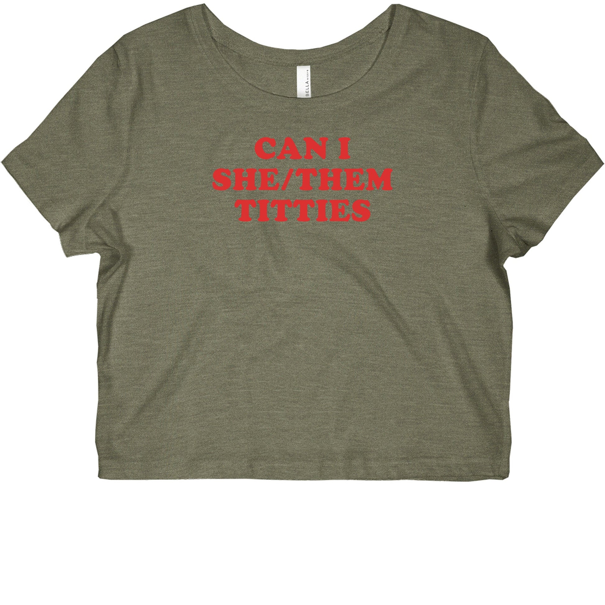 Can I She/Them Titties? Womens Slim Fit Crop Top Tee
