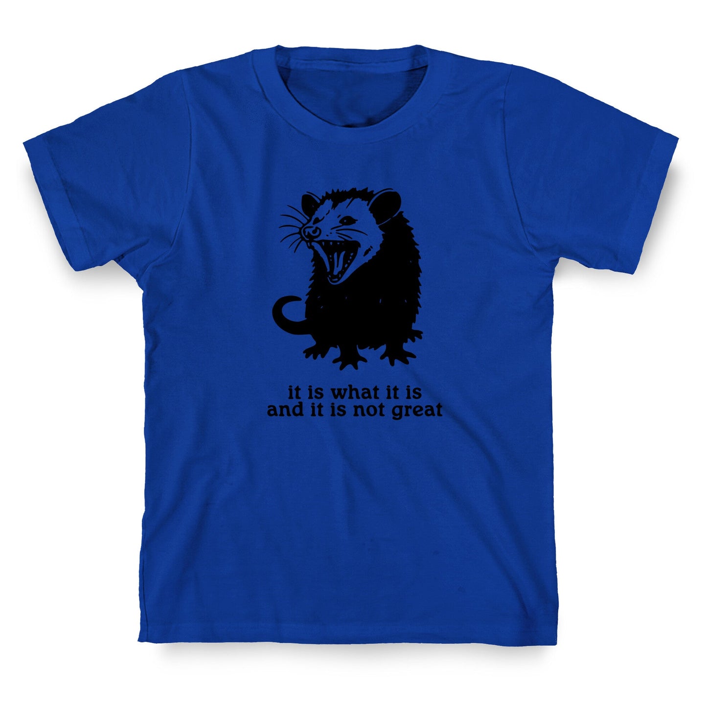It Is What It Is T-Shirt