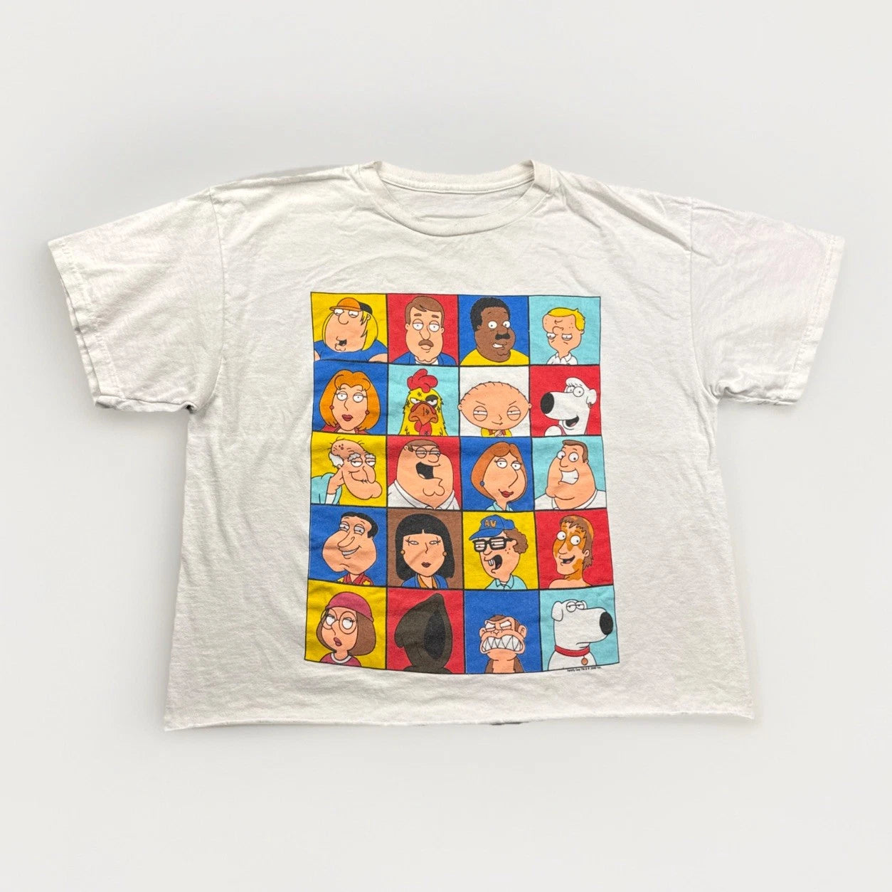 VINTAGE Y2K Family Guy Cropped T Shirt Size XL Character Portrait TV Show Funny