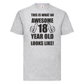 18th 18 Years Old Eighteenth Birthday Gift Presents Mens Funny Awesome T-Shirt
