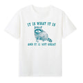 It Is What It Is And It Is Not Great Funny Raccoon Meme Sarcastic Quotes T-Shirt