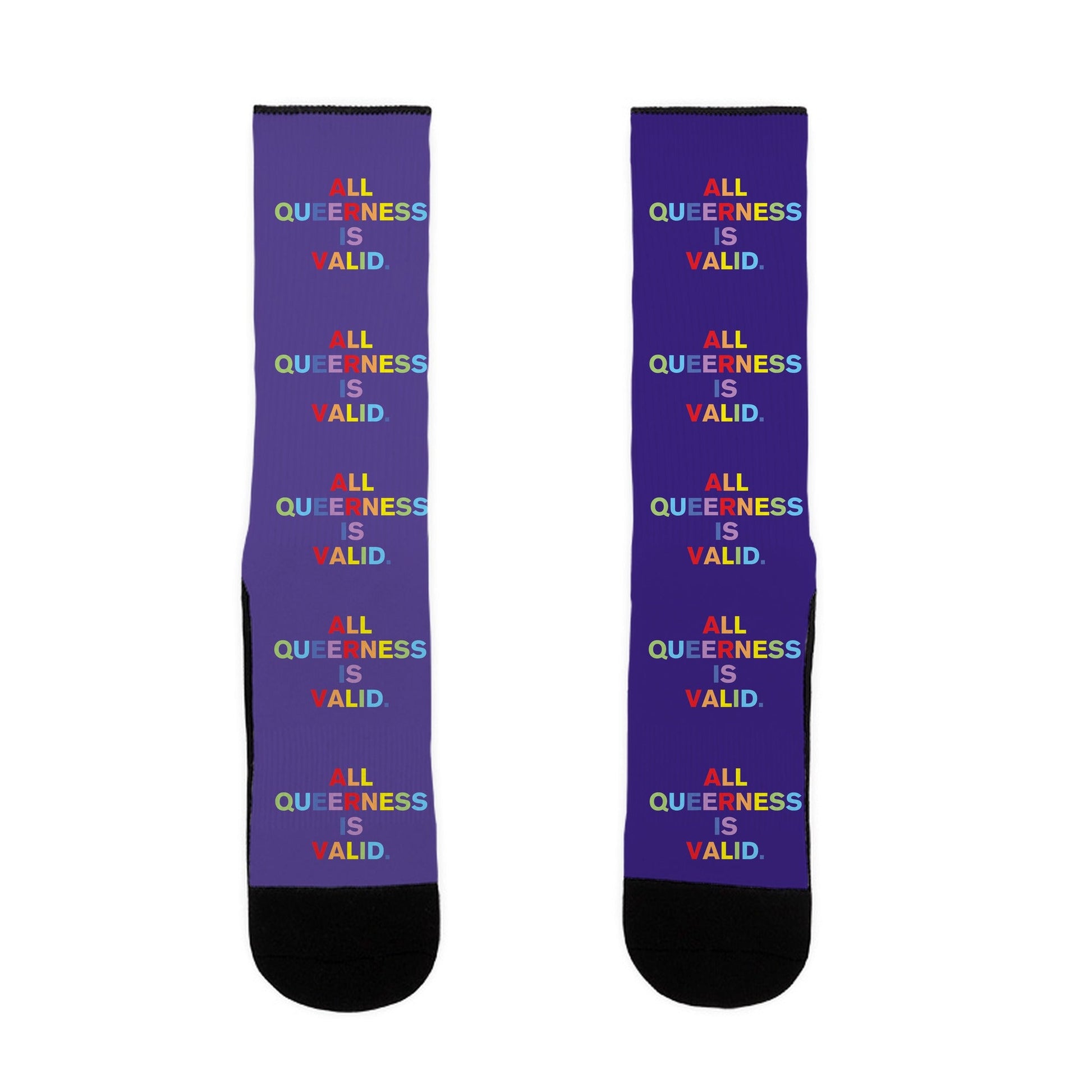 All Queerness is Valid Socks