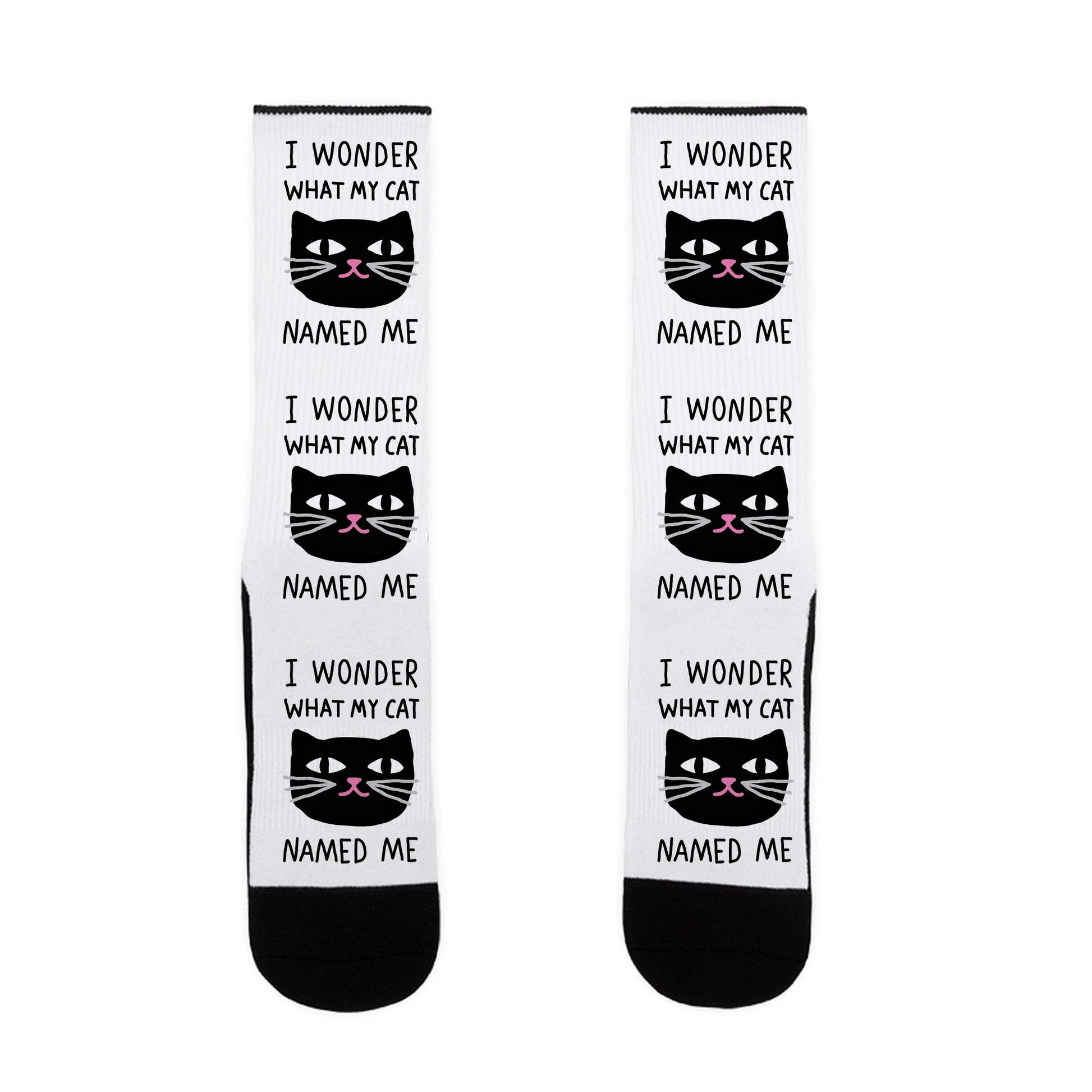 I Wonder What My Cat Named Me Socks