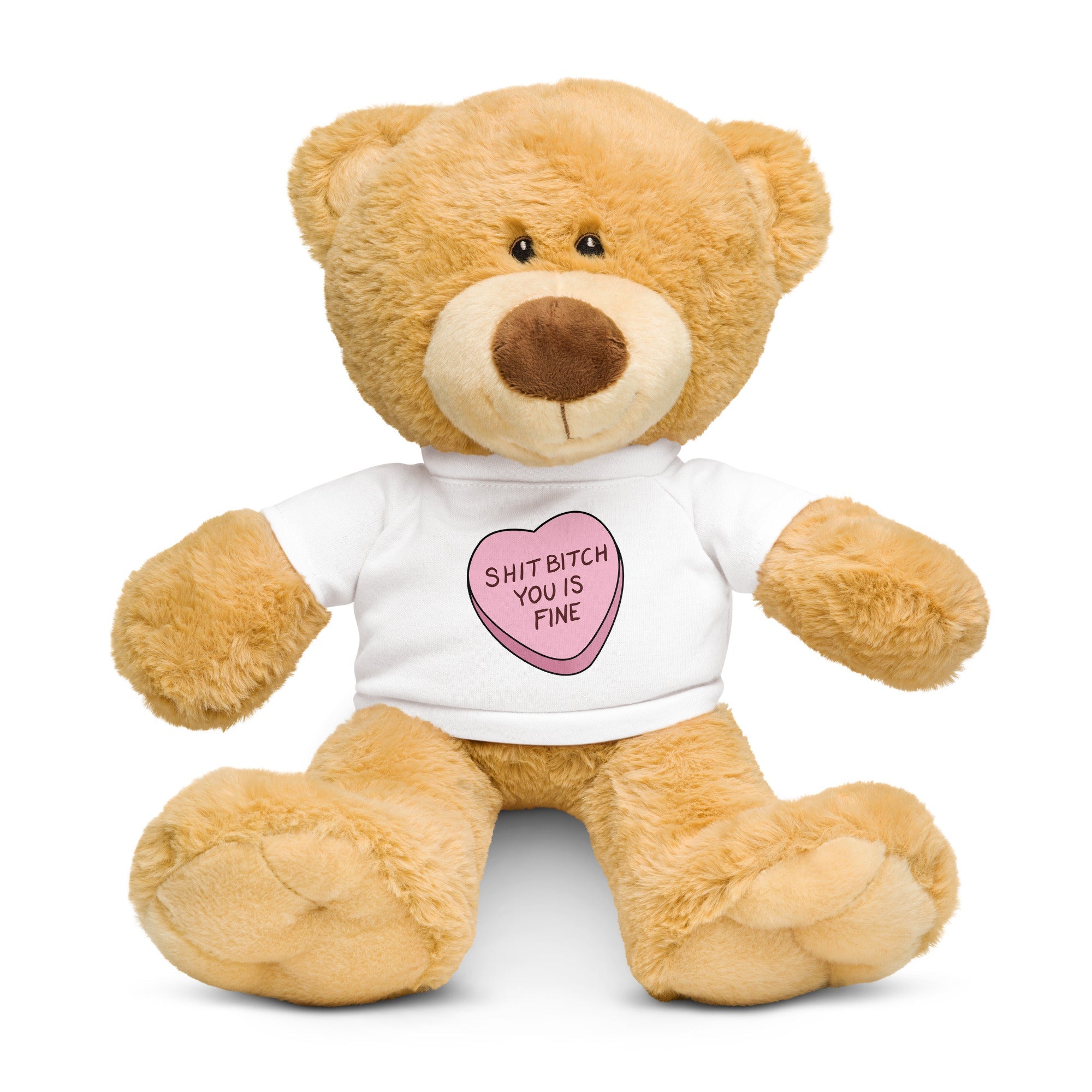 Shit Bitch You is Fine Teddy Bear