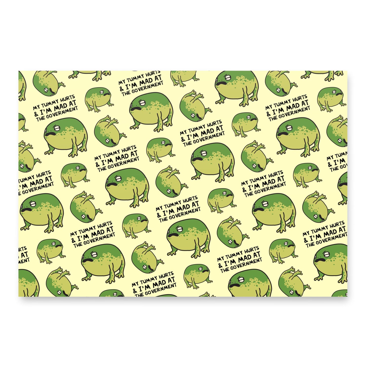 My Tummy Hurts & I'm Mad At The Government Wrapping Paper Sheets